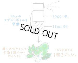 画像2: SILI-K(シリー・ケイ）100ml