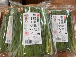 画像1: 特選無農薬栽培オーツヘイ７０g