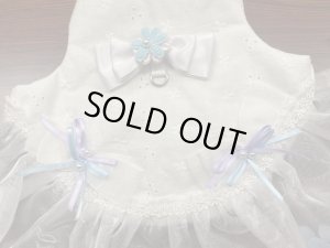 画像2: ハーネス☆ＧＶお花のスカートLサイズ（ブルー系）特価