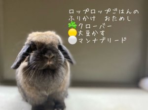 画像2: ふりかけお試しセット