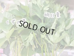 画像2: 生葉(明日葉・いちごの葉っぱ）※クール便