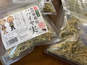 画像1: 無農薬栽培パパイヤ実