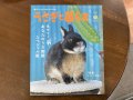 うさぎと暮らす96