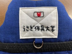 画像2: ハーネス☆ＧＶうさぎ体育大学柔道部(青）
