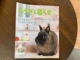 画像: うさぎと暮らす７５