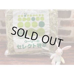 画像: ウーリー カナダ産ティモシー