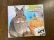 画像1: みんなのうさぎHAPPY CALENDER2025