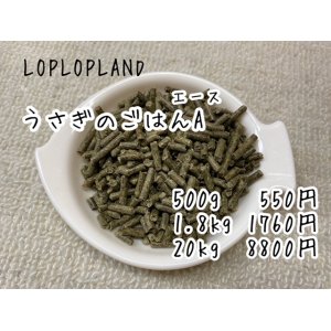 画像: LOPLOPLANDうさぎのごはんA(エース）