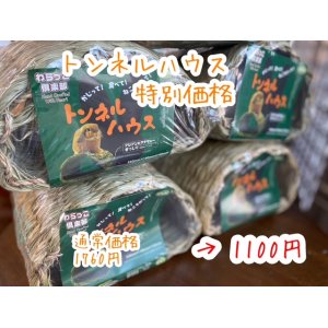 画像: トンネルハウス（特別価格）
