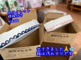 画像: ホワイレット（模様つき）