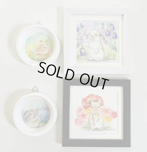 画像2: Sora.mimi水彩画(丸）たんぽぽ