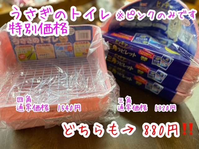 画像1: うさぎのトイレ（特別価格）ピンク