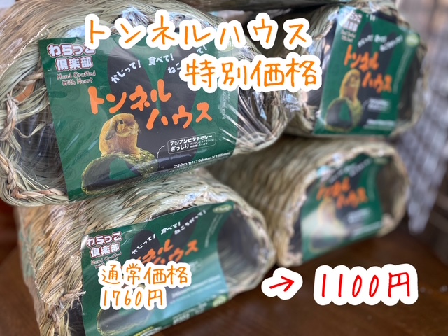 画像1: トンネルハウス（特別価格）