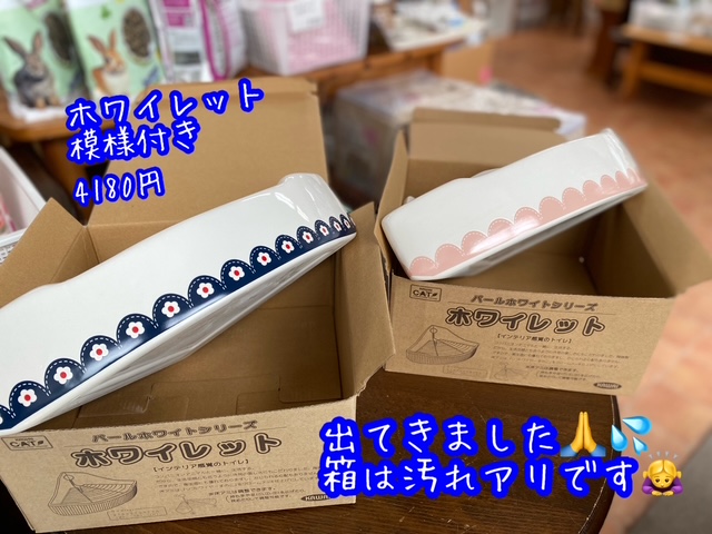 画像1: ホワイレット（模様つき）