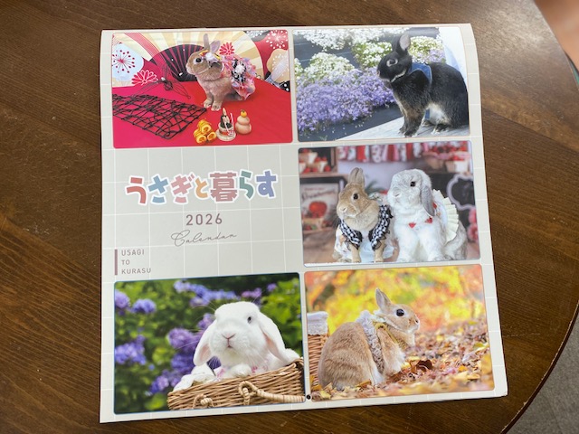 画像1: うさぎと暮らすカレンダー2026