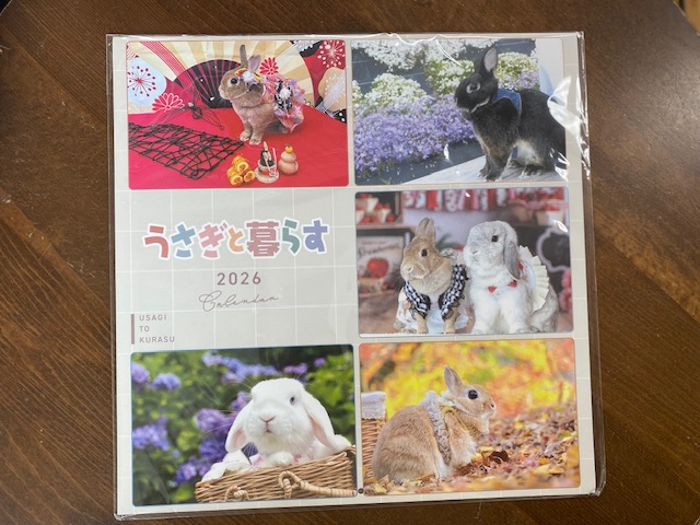 画像3: うさぎと暮らすカレンダー2026