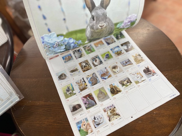 画像2: うさぎと暮らすカレンダー2026