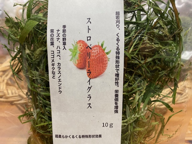 画像2: 超若刈りくるくるシルキーコットン　ストロベリーライグラス10g
